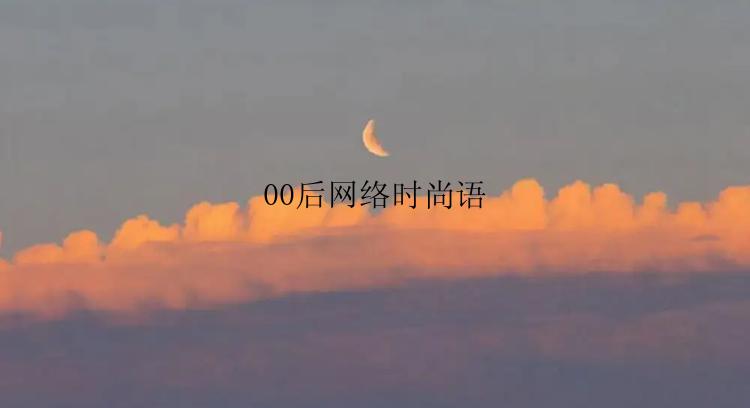 00后网络时尚语