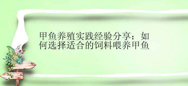 甲鱼养殖实践经验分享：如何选择适合的饲料喂养甲鱼