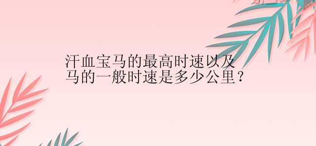 汗血宝马的最高时速以及马的一般时速是多少公里？