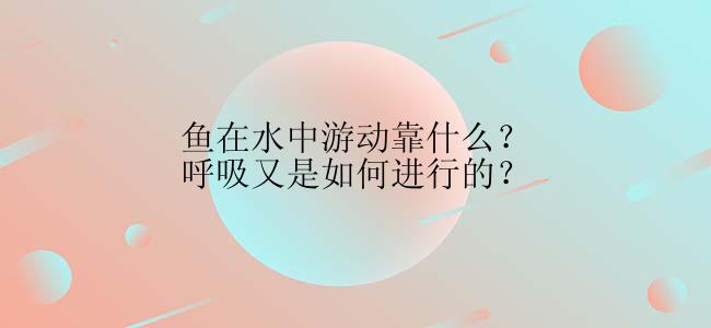 鱼在水中游动靠什么？呼吸又是如何进行的？