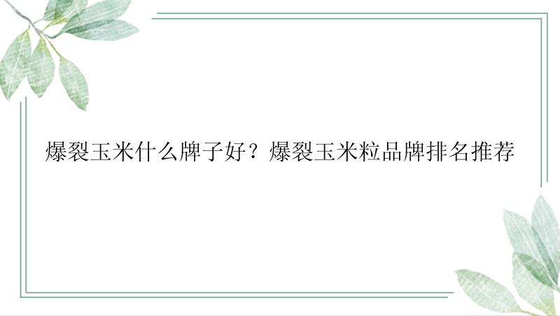 爆裂玉米什么牌子好？爆裂玉米粒品牌排名推荐