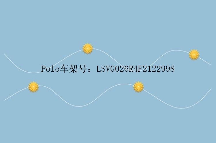 Polo车架号：LSVG026R4F2122998