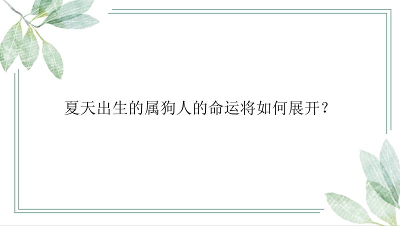 夏天出生的属狗人的命运将如何展开？