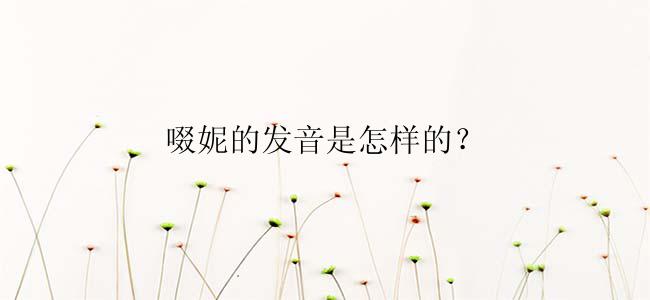 啜妮的发音是怎样的？