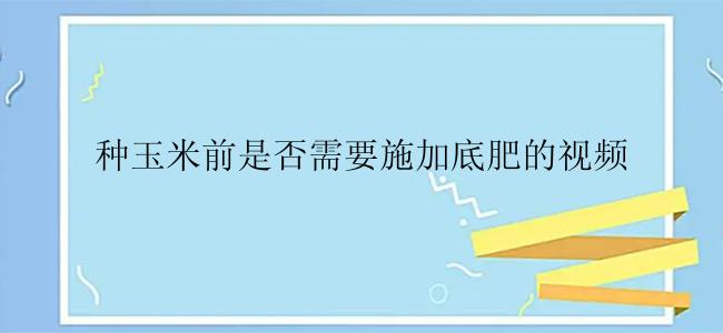 种玉米前是否需要施加底肥的视频