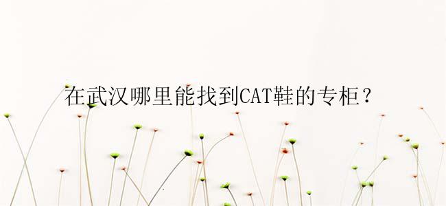 在武汉哪里能找到CAT鞋的专柜？