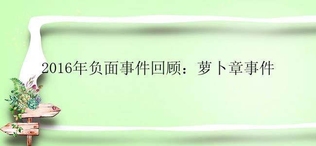 2016年负面事件回顾：萝卜章事件