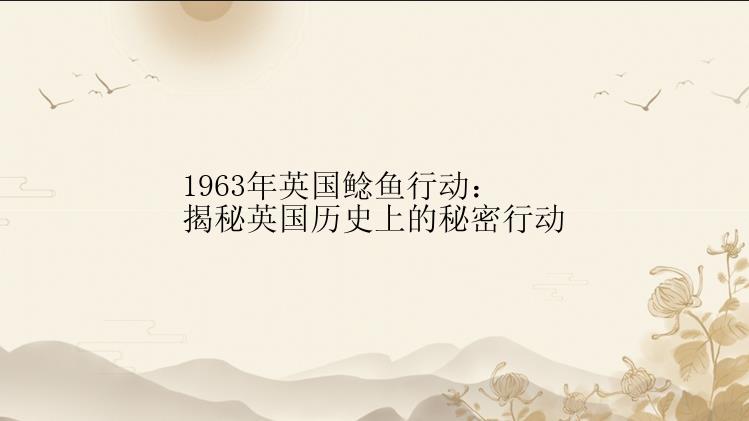 1963年英国鲶鱼行动：揭秘英国历史上的秘密行动