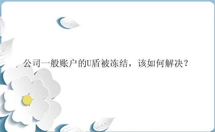 公司一般账户的U盾被冻结，该如何解决？