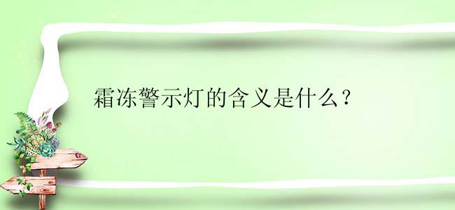 霜冻警示灯的含义是什么？