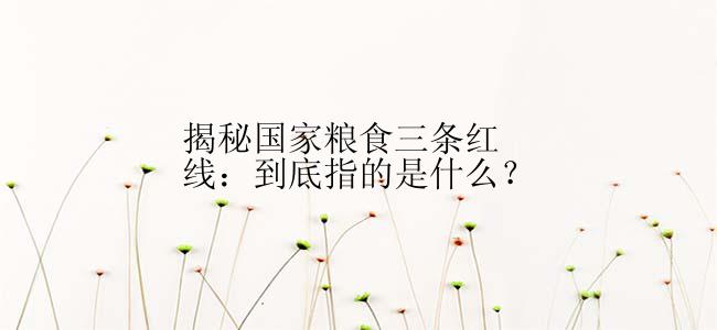 揭秘国家粮食三条红线：到底指的是什么？