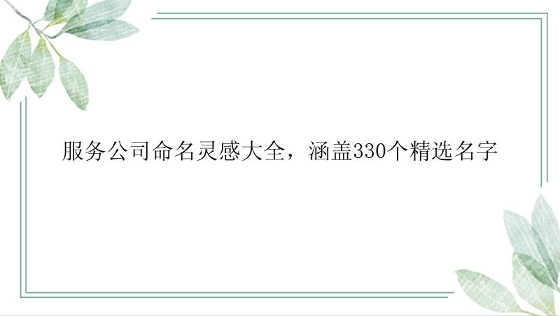 服务公司命名灵感大全，涵盖330个精选名字