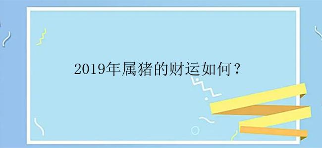 2019年属猪的财运如何？