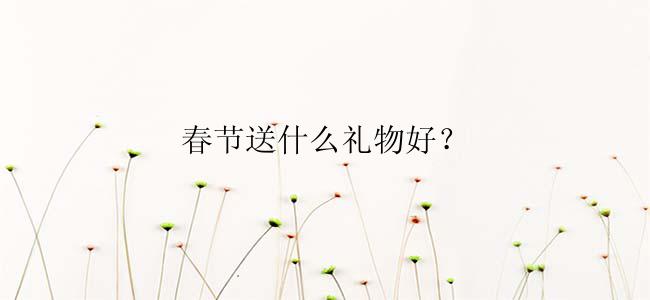 春节送什么礼物好？