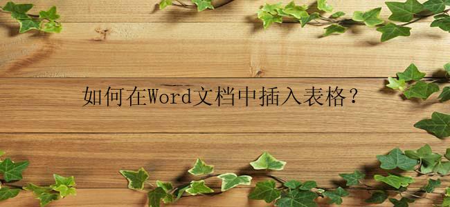 如何在Word文档中插入表格？