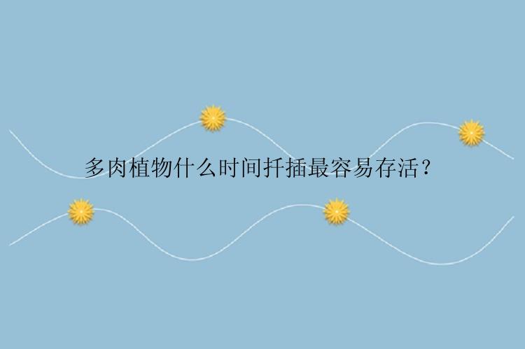 多肉植物什么时间扦插最容易存活？