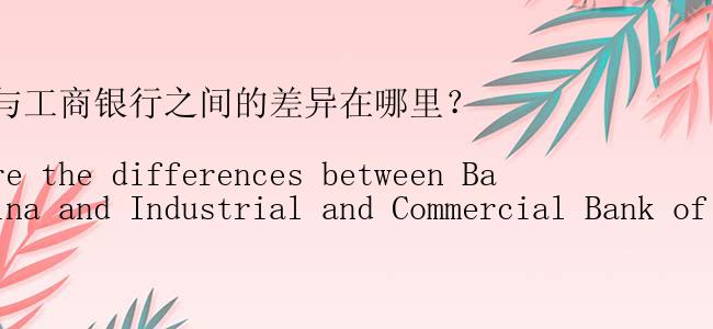 中国银行与工商银行之间的差异在哪里？

（What are the differences between Bank of China and Industrial and Commercial Bank of China?）