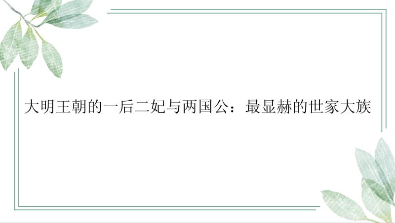 大明王朝的一后二妃与两国公：最显赫的世家大族