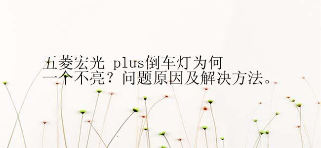 五菱宏光 plus倒车灯为何一个不亮？问题原因及解决方法。