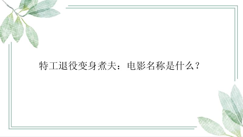 特工退役变身煮夫：电影名称是什么？