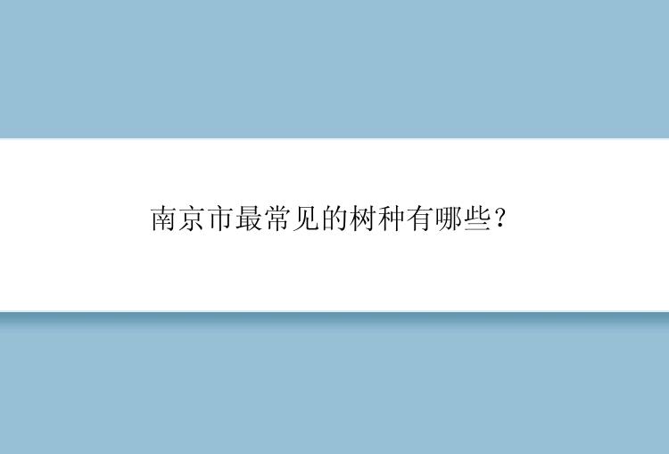 南京市最常见的树种有哪些？