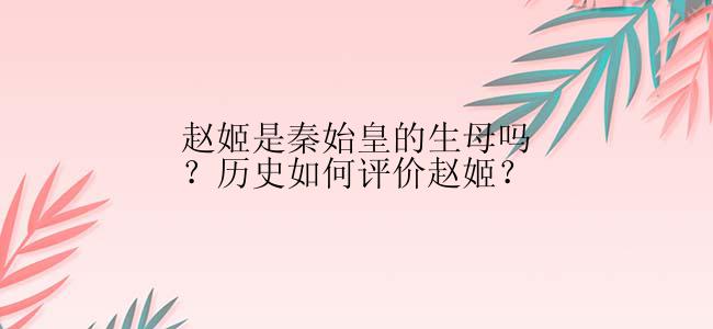 赵姬是秦始皇的生母吗？历史如何评价赵姬？