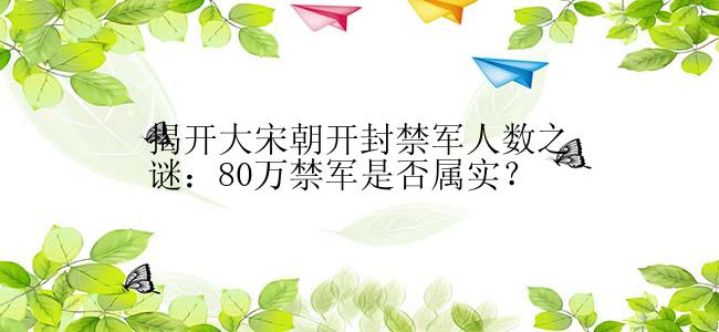 揭开大宋朝开封禁军人数之谜：80万禁军是否属实？