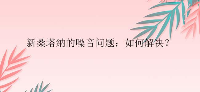 新桑塔纳的噪音问题：如何解决？