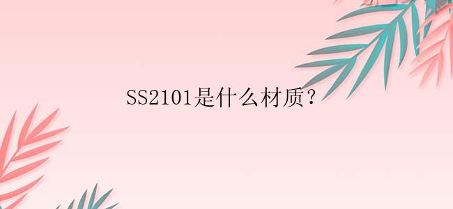 SS2101是什么材质？