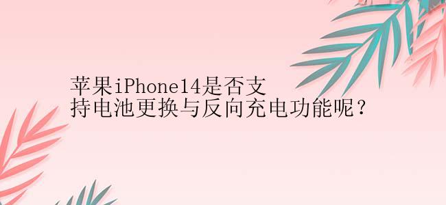 苹果iPhone14是否支持电池更换与反向充电功能呢？