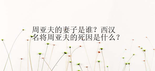 周亚夫的妻子是谁？西汉名将周亚夫的死因是什么？