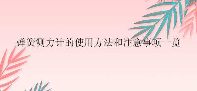 弹簧测力计的使用方法和注意事项一览