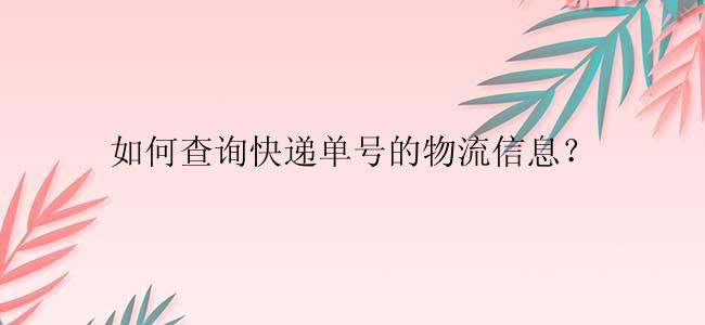 如何查询快递单号的物流信息？