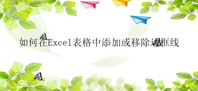 如何在Excel表格中添加或移除边框线