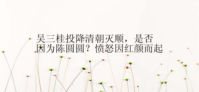 吴三桂投降清朝灭顺，是否因为陈圆圆？愤怒因红颜而起