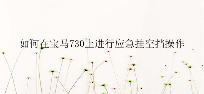 如何在宝马730上进行应急挂空挡操作