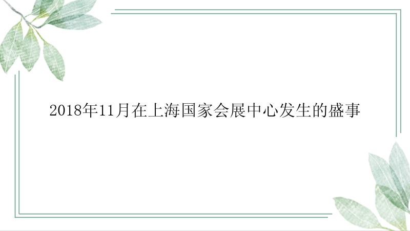 2018年11月在上海国家会展中心发生的盛事