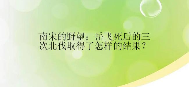 南宋的野望：岳飞死后的三次北伐取得了怎样的结果？