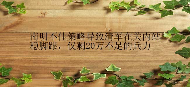 南明不佳策略导致清军在关内站稳脚跟，仅剩20万不足的兵力