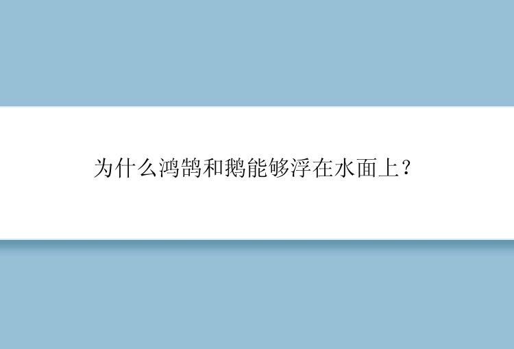 为什么鸿鹄和鹅能够浮在水面上？