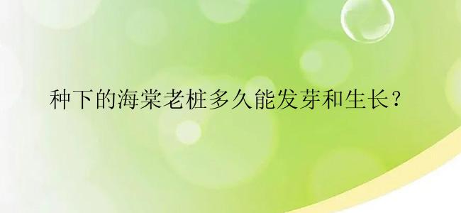 种下的海棠老桩多久能发芽和生长？