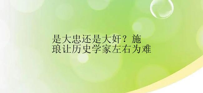 是大忠还是大奸？施琅让历史学家左右为难