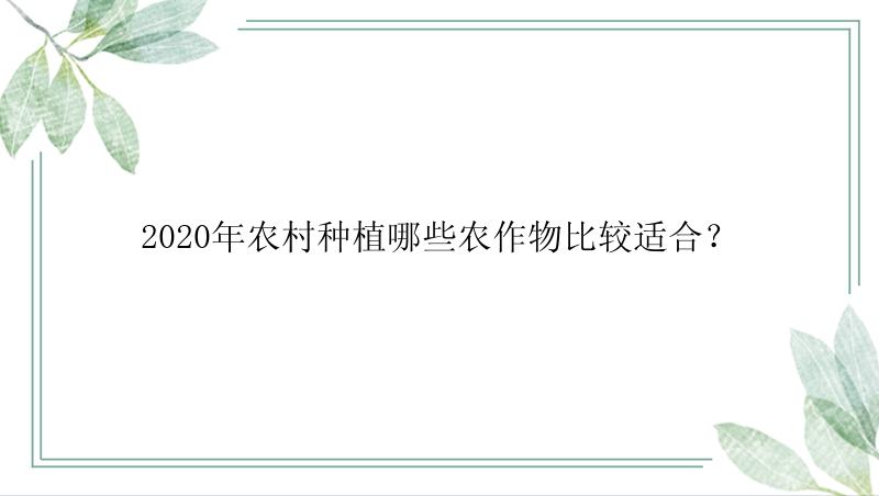 2020年农村种植哪些农作物比较适合？