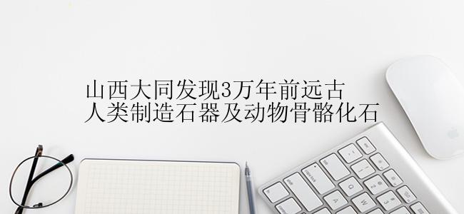 山西大同发现3万年前远古人类制造石器及动物骨骼化石