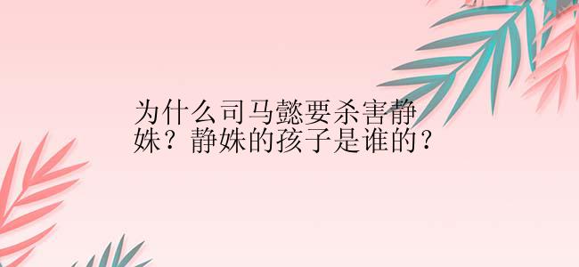 为什么司马懿要杀害静姝？静姝的孩子是谁的？