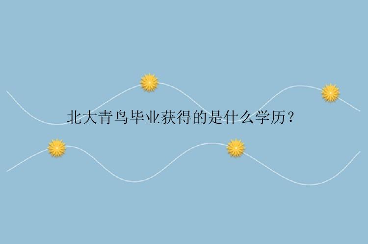 北大青鸟毕业获得的是什么学历？