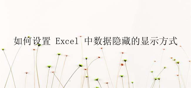 如何设置 Excel 中数据隐藏的显示方式