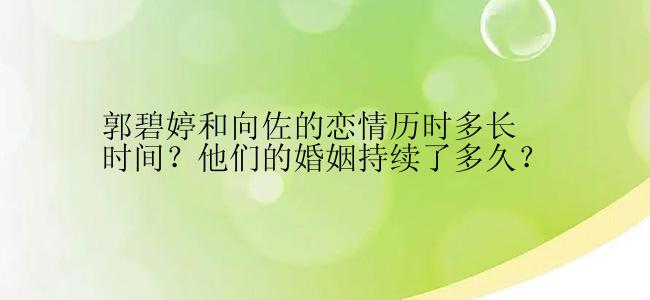 郭碧婷和向佐的恋情历时多长时间？他们的婚姻持续了多久？