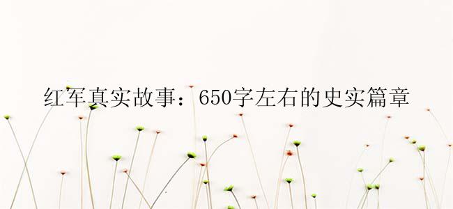 红军真实故事：650字左右的史实篇章