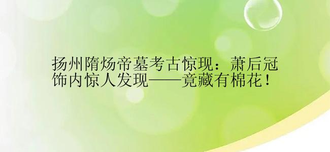 扬州隋炀帝墓考古惊现：萧后冠饰内惊人发现——竟藏有棉花！